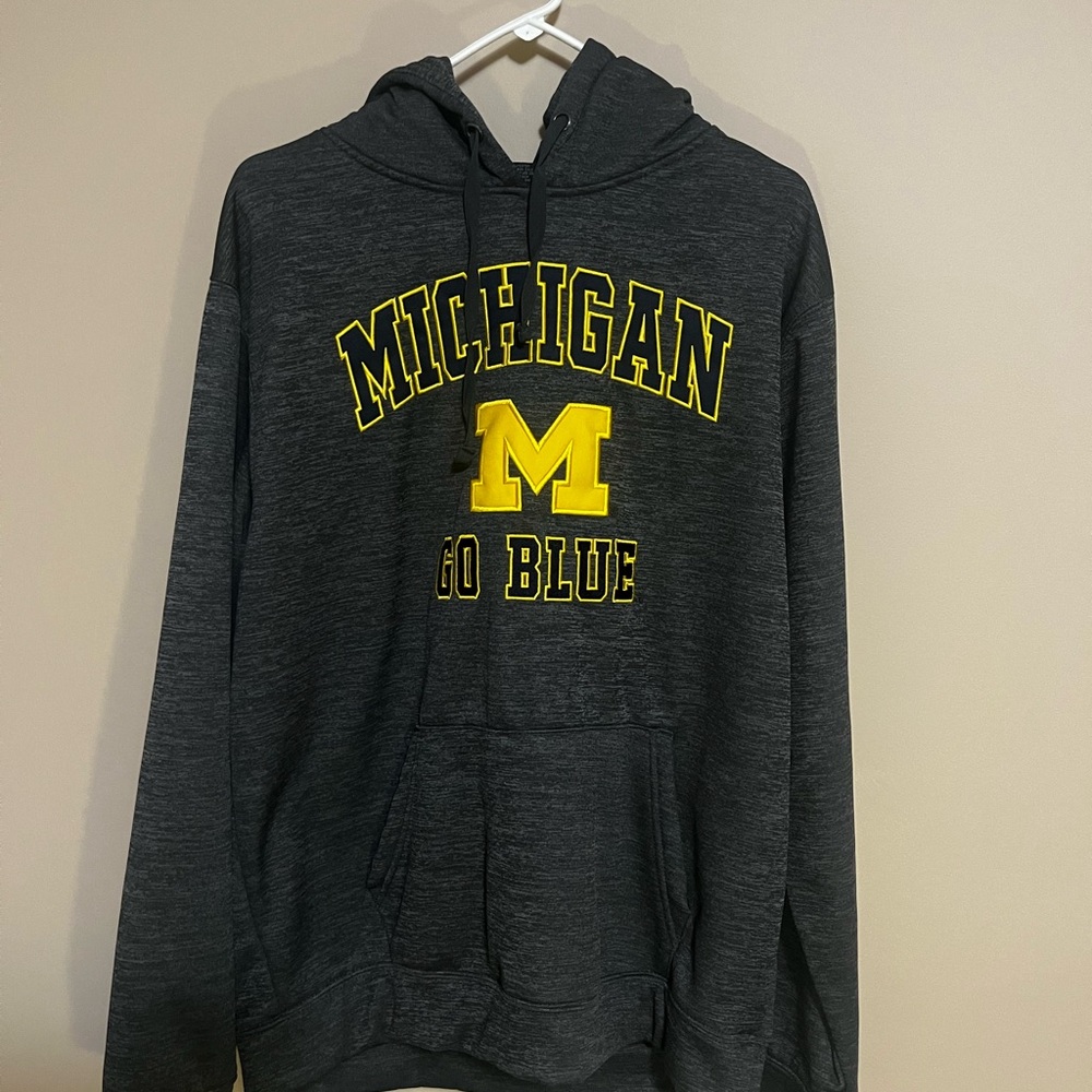 Michigan Go Blue Men's Gray Hoodie